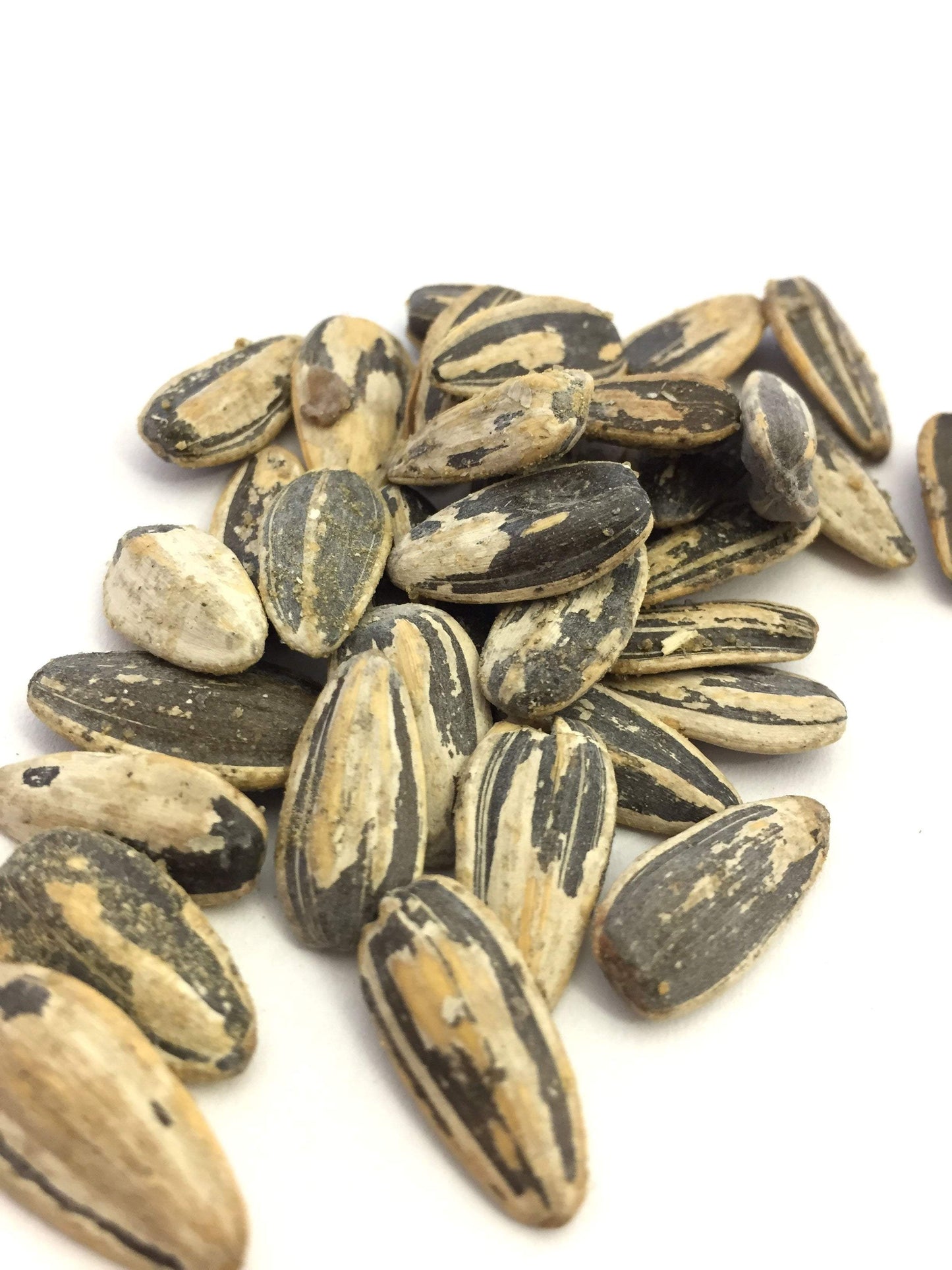 Premium Roast Sunflower Seeds - Dill Pickle by Bricktown Roasters