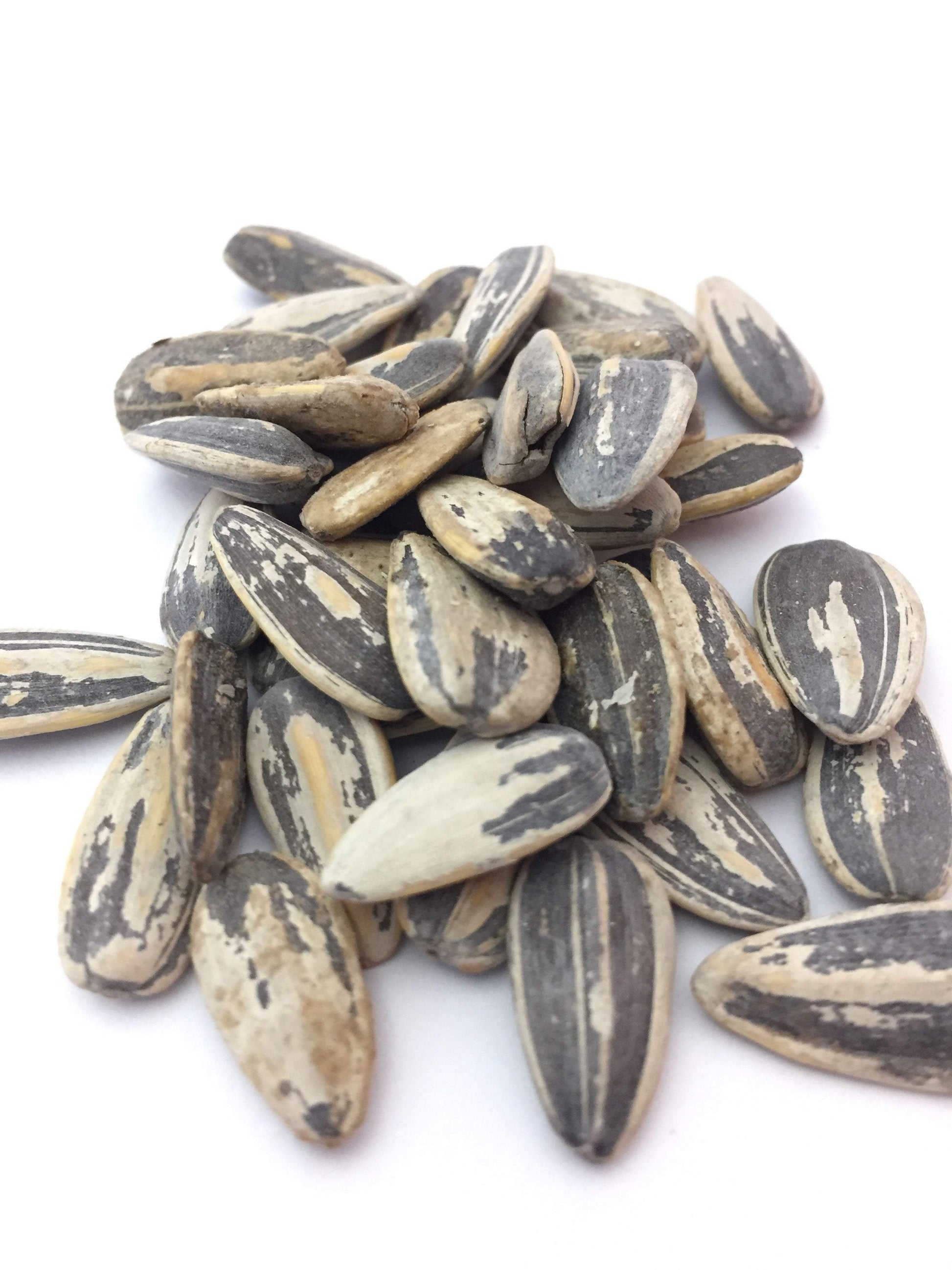 Premium Roast Sunflower Seeds - Salt & Balsamic Vinegar by Bricktown Roasters
