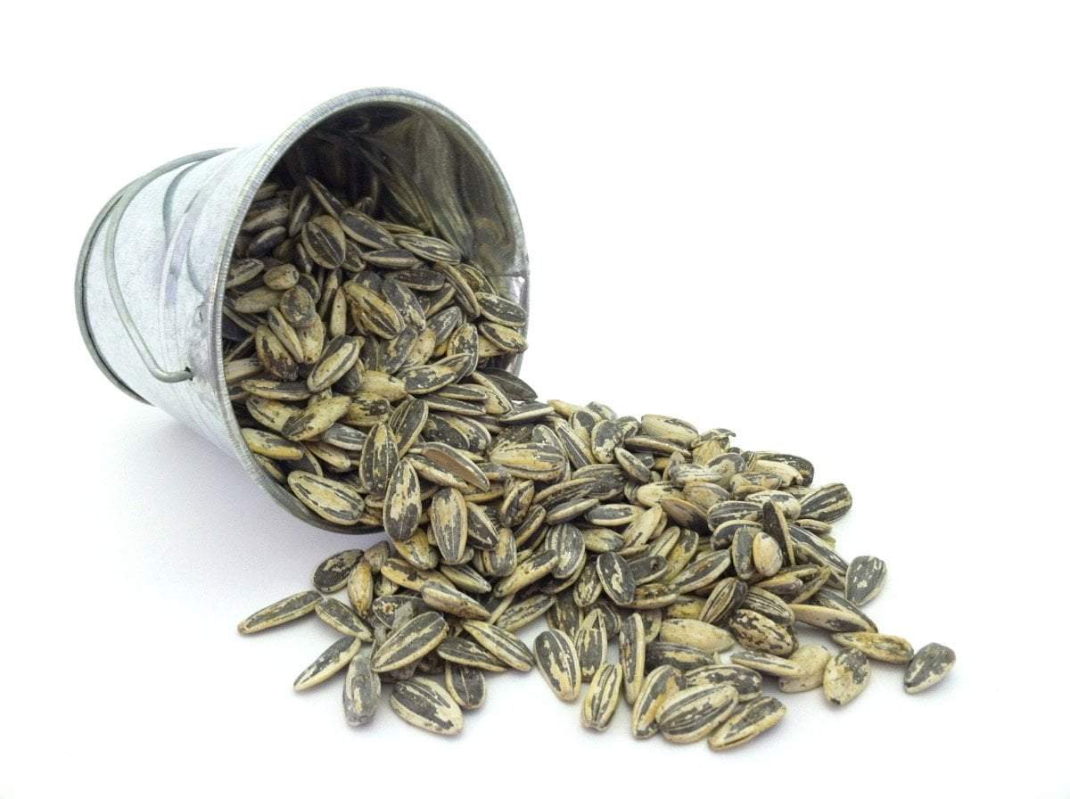 Premium Roast Sunflower Seeds - Smoked Habanero by Bricktown Roasters